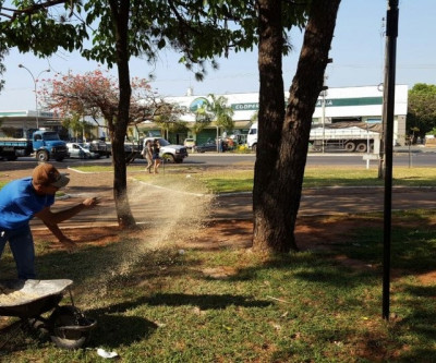 Secretaria de Meio Ambiente utiliza Gesso Agrícola em áreas verdes do município