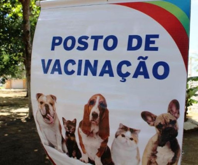 Campanha de vacinação de cães e gatos continua no sábado