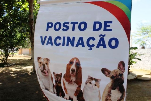 Campanha de vacinação de cães e gatos continua no sábado